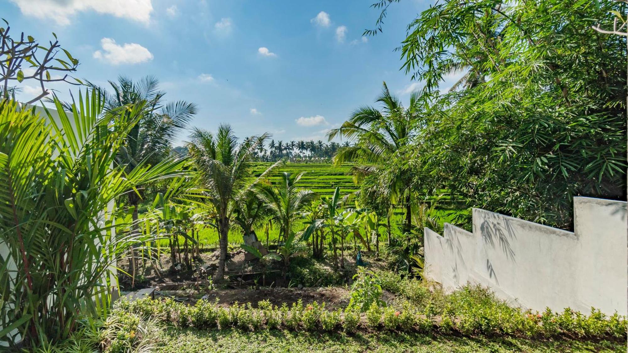 Padi Luwih Villa Ubud Buitenkant foto