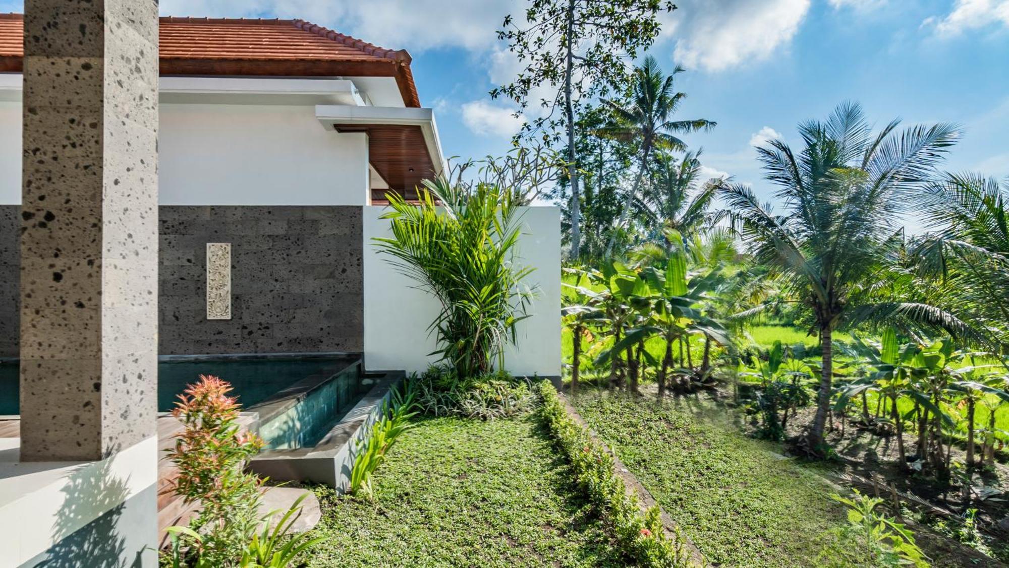Padi Luwih Villa Ubud Buitenkant foto