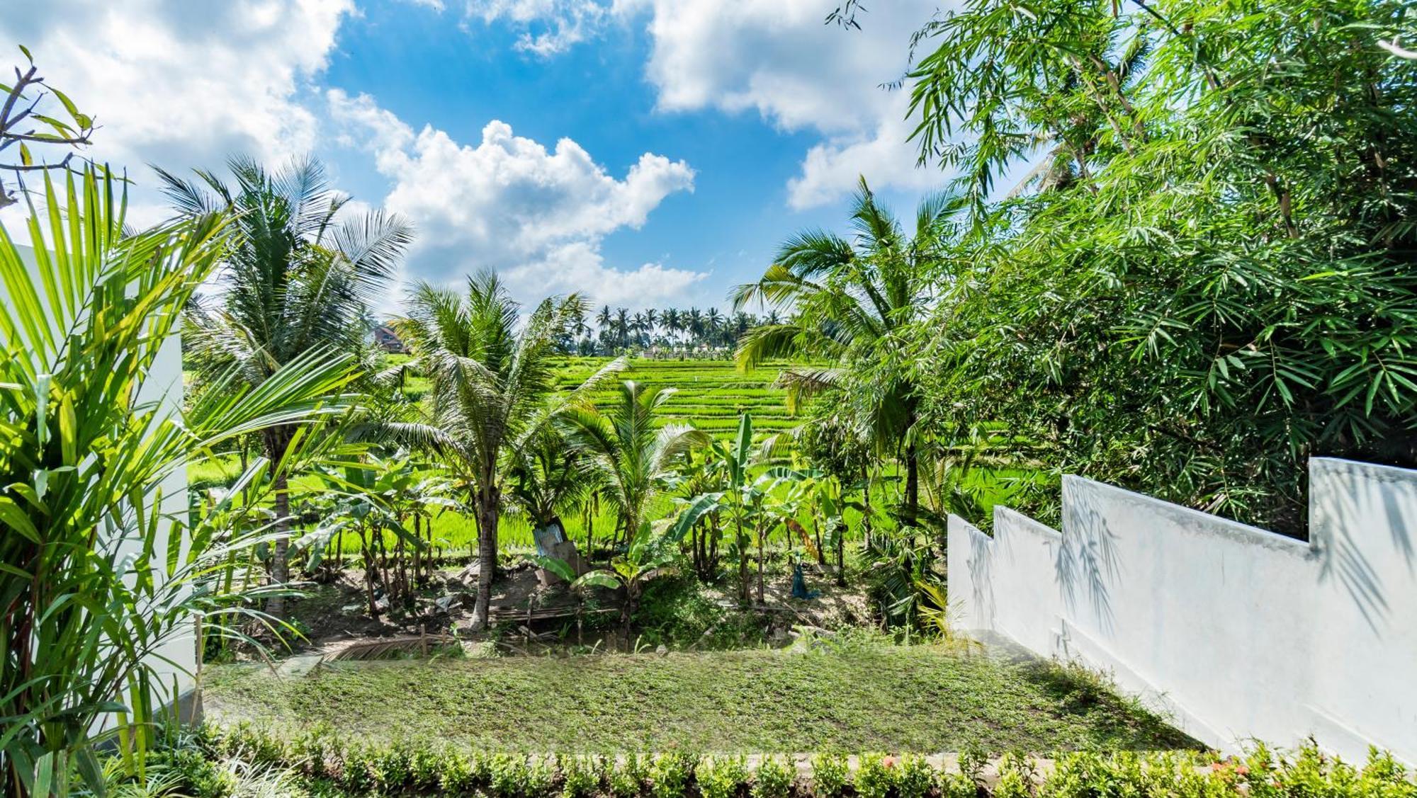 Padi Luwih Villa Ubud Buitenkant foto